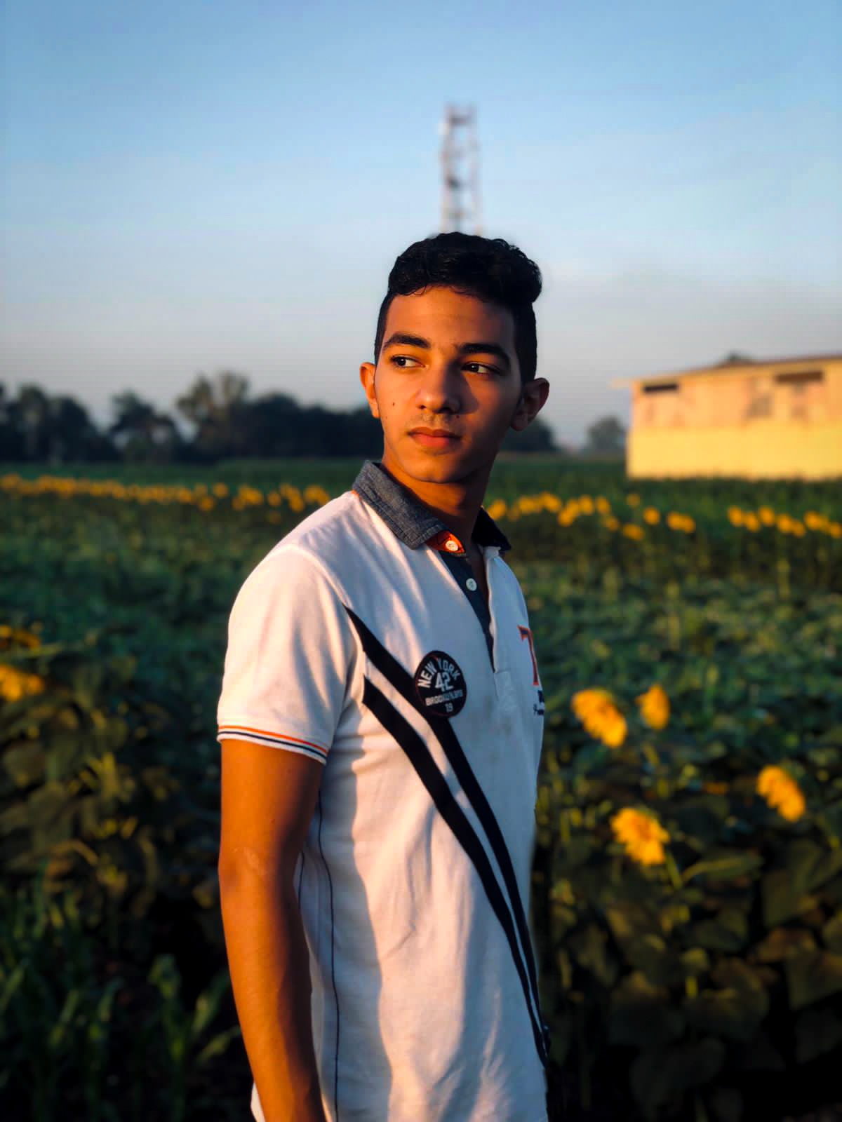 Description of image 1